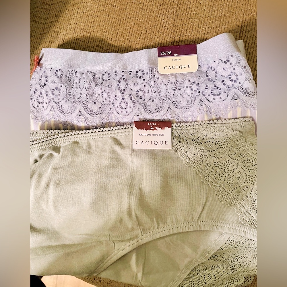Panties Bundle (Lane Bryant)